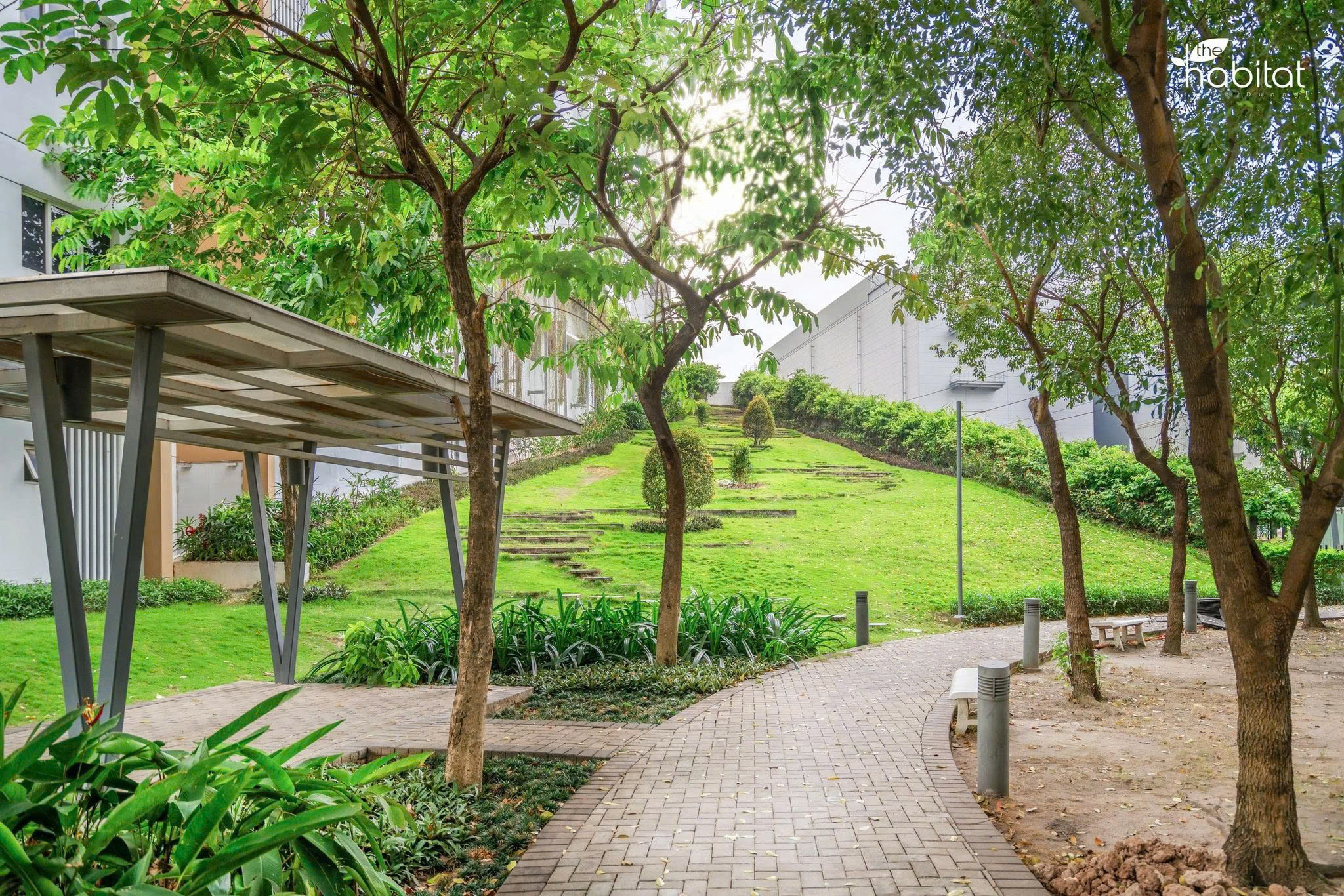 Tiến độ the habitat giai đoạn 3